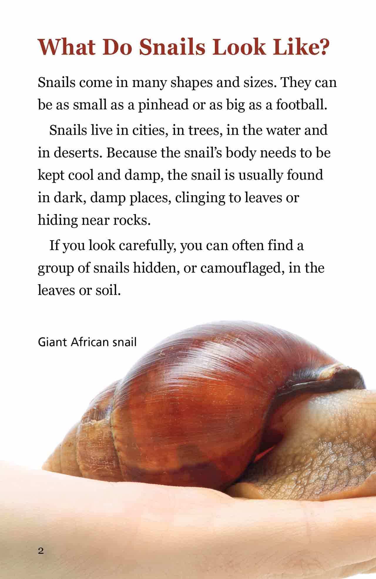 About-Snails-INS2 – Sunshine Books Australia