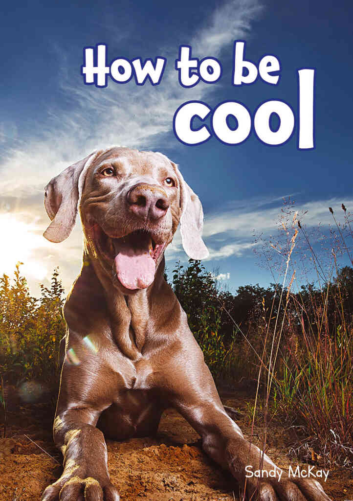 How to be cool